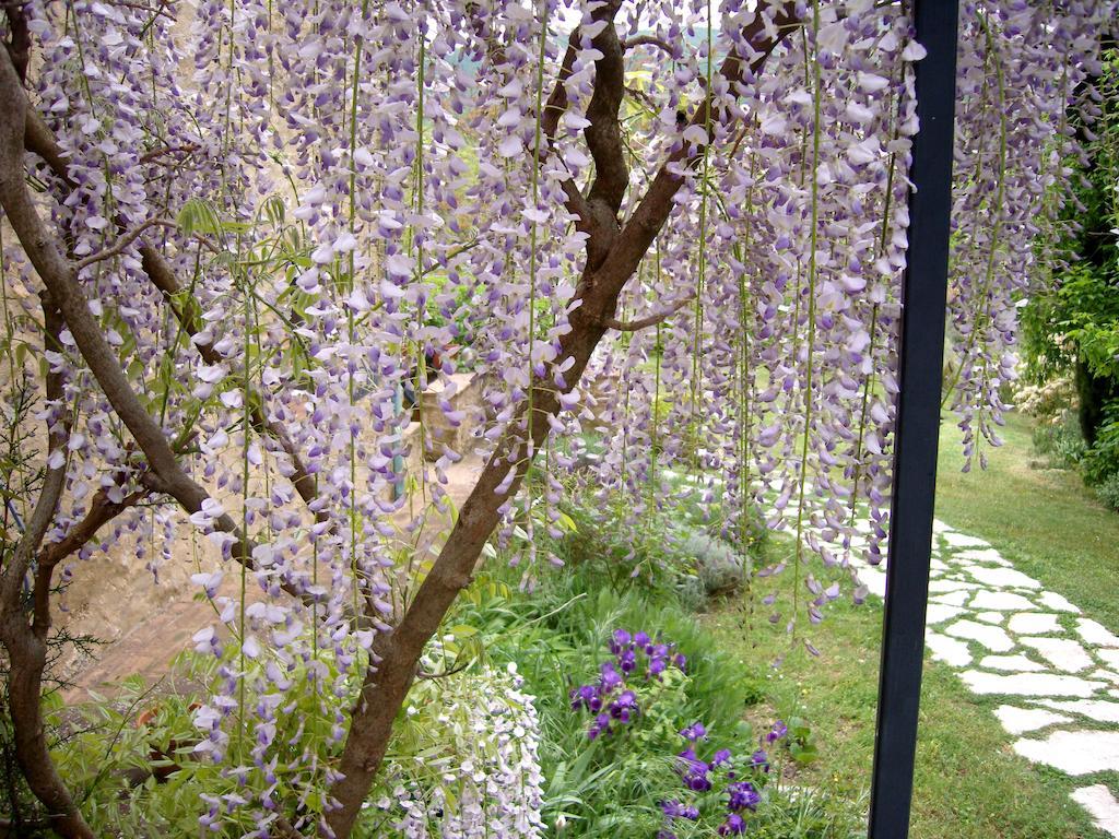 Agriturismo Apparita Montecastelli Pisano 外观 照片